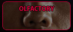 Olfactory Products Button Button